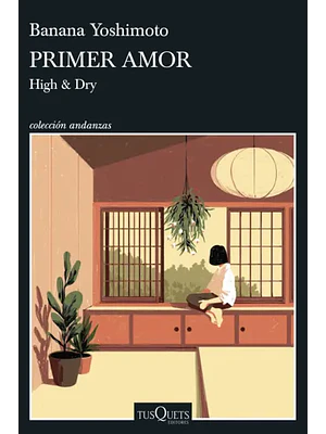PRIMER AMOR