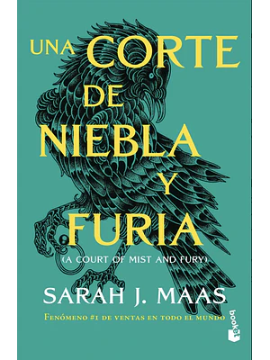 UNA CORTE DE NIEBLA Y FURIA (ACOTAR 2)