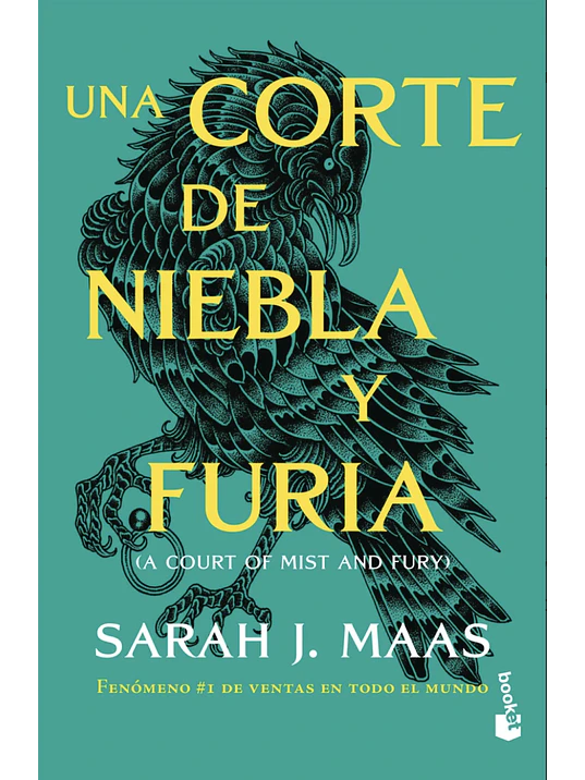 UNA CORTE DE NIEBLA Y FURIA (ACOTAR 2) 1