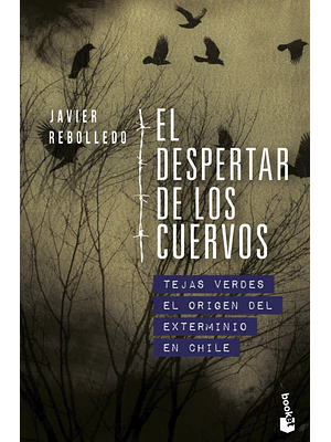 EL DESPERTAR DE LOS CUERVOS