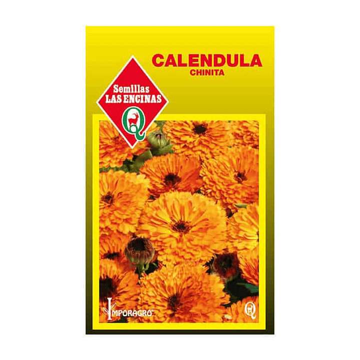 Calendula 1