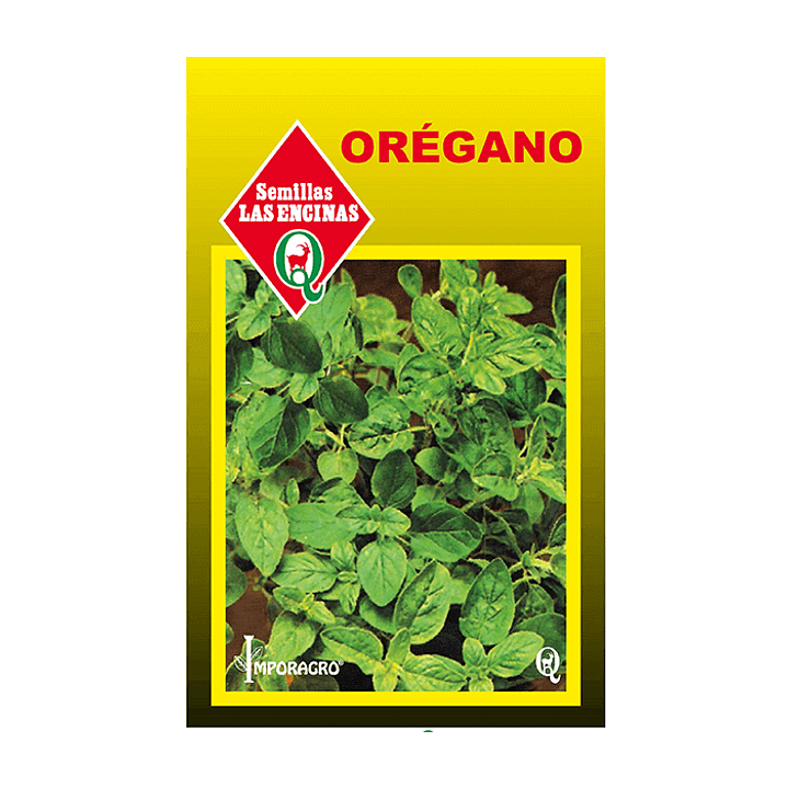 Oregano 1