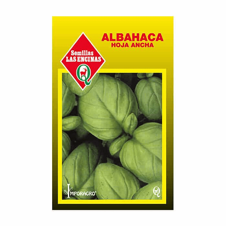 Albahaca Hoja Ancha 1