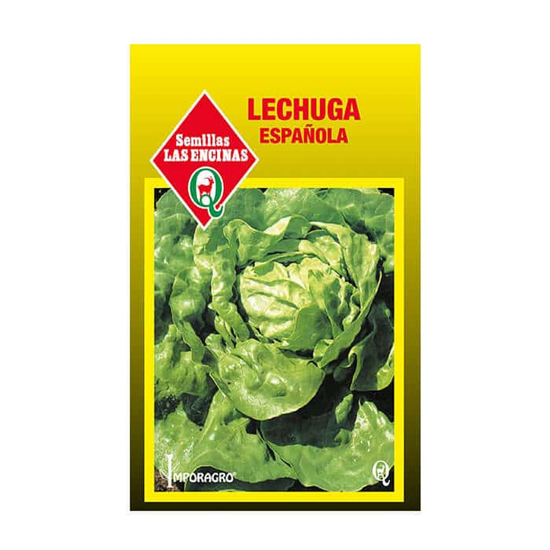 Lechuga Española 1