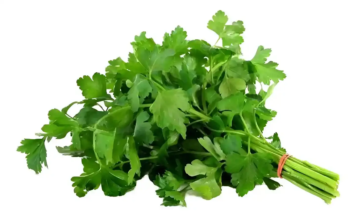 Semillas Hortalizas Y Aromáticas - Más de 80 Variedades  7