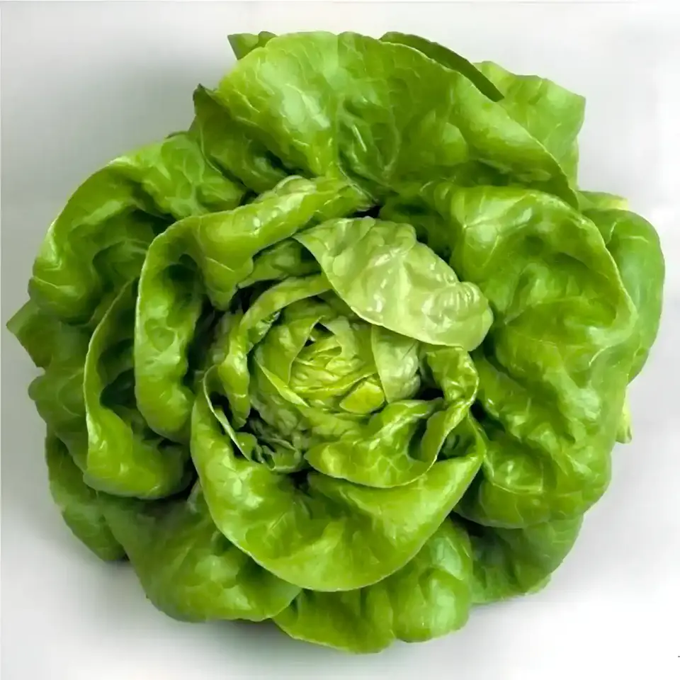 Semillas Hortalizas Y Aromáticas - Más de 80 Variedades  8