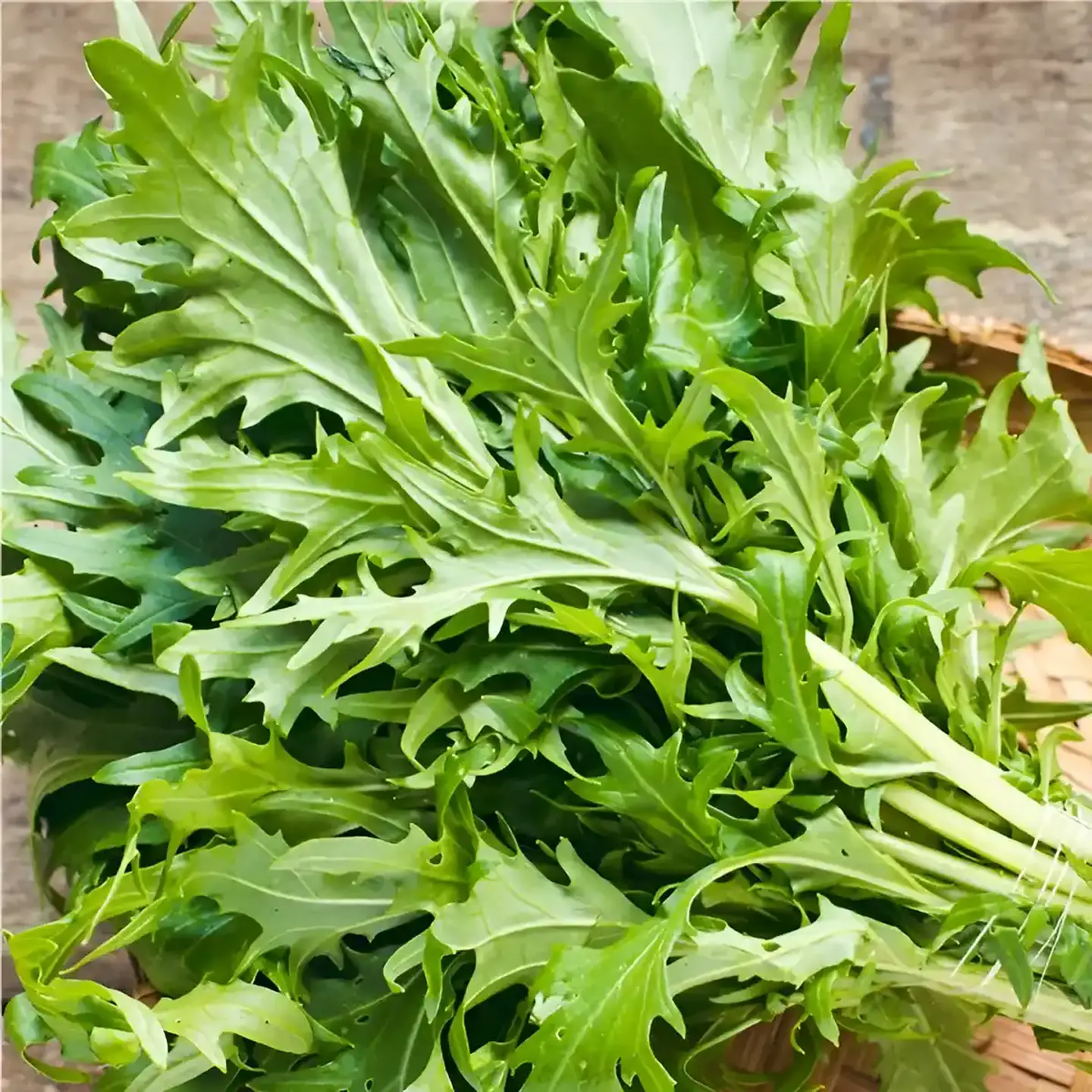 Semillas Hortalizas Y Aromáticas - Más de 80 Variedades  13