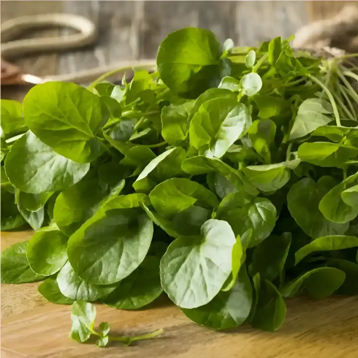 Semillas Hortalizas Y Aromáticas - Más de 80 Variedades  20