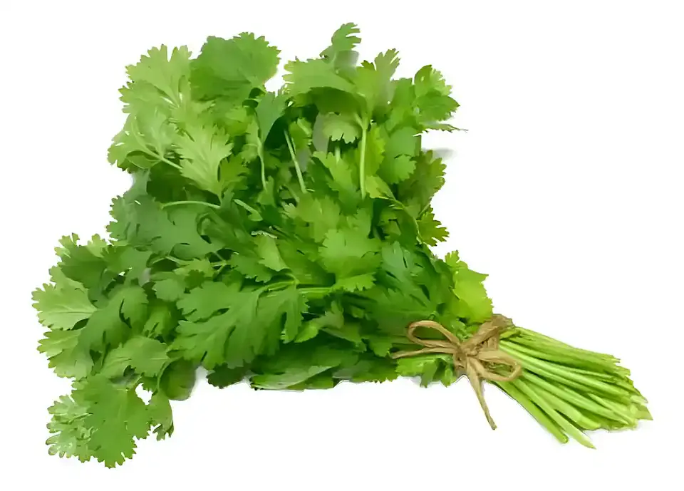 Semillas Hortalizas Y Aromáticas - Más de 80 Variedades  26