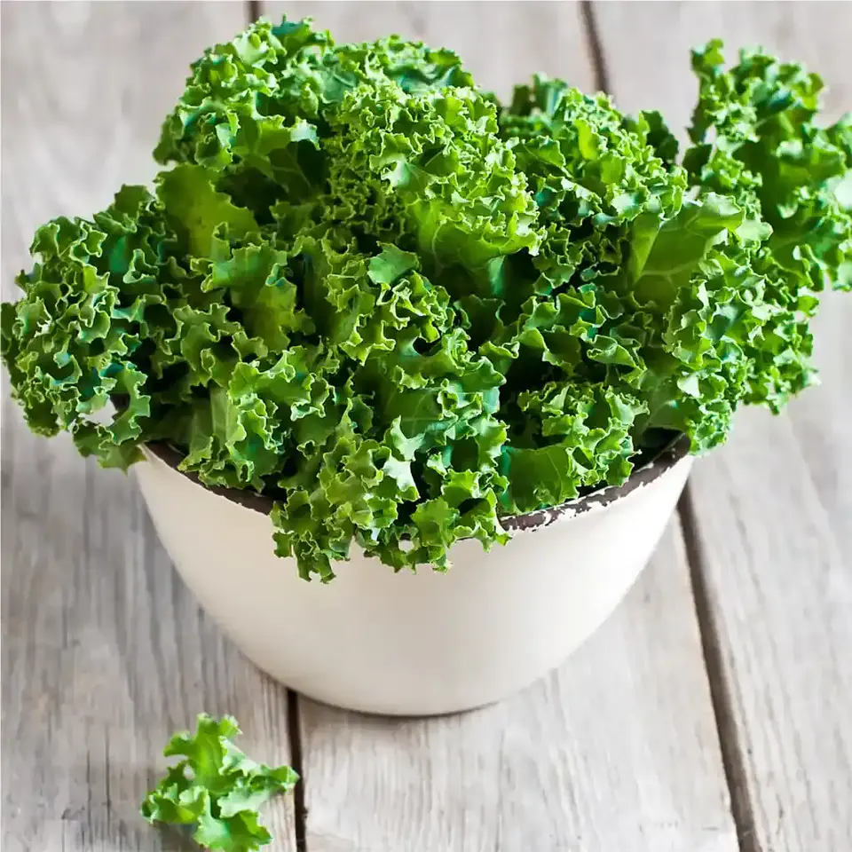 Semillas Hortalizas Y Aromáticas - Más de 80 Variedades  29