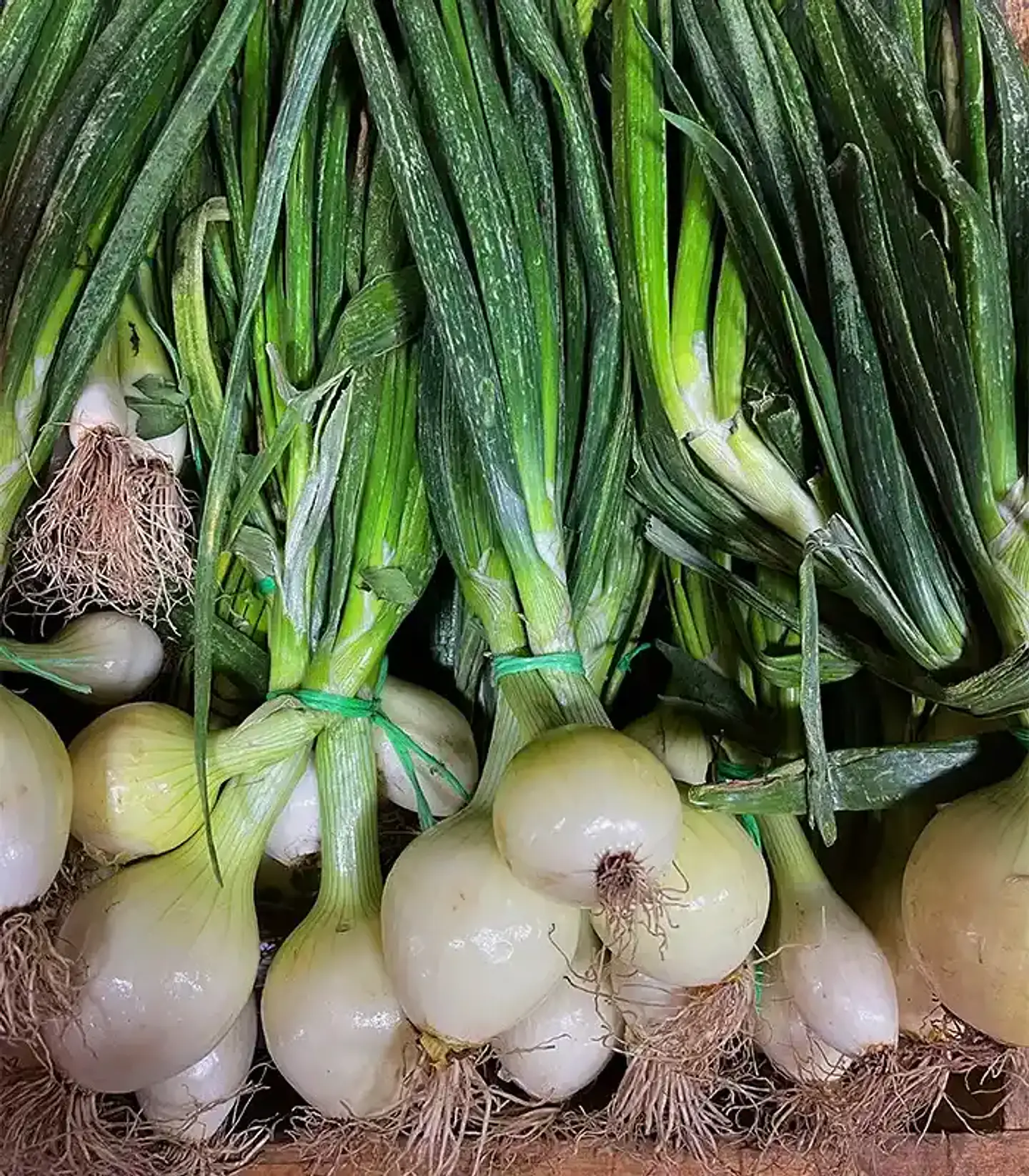 Semillas Hortalizas Y Aromáticas - Más de 80 Variedades  30