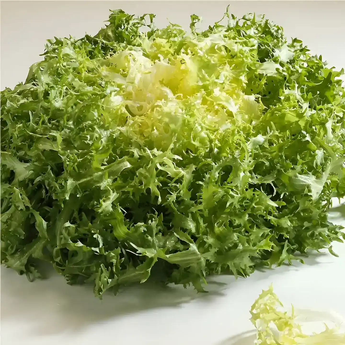 Semillas Hortalizas Y Aromáticas - Más de 80 Variedades  39