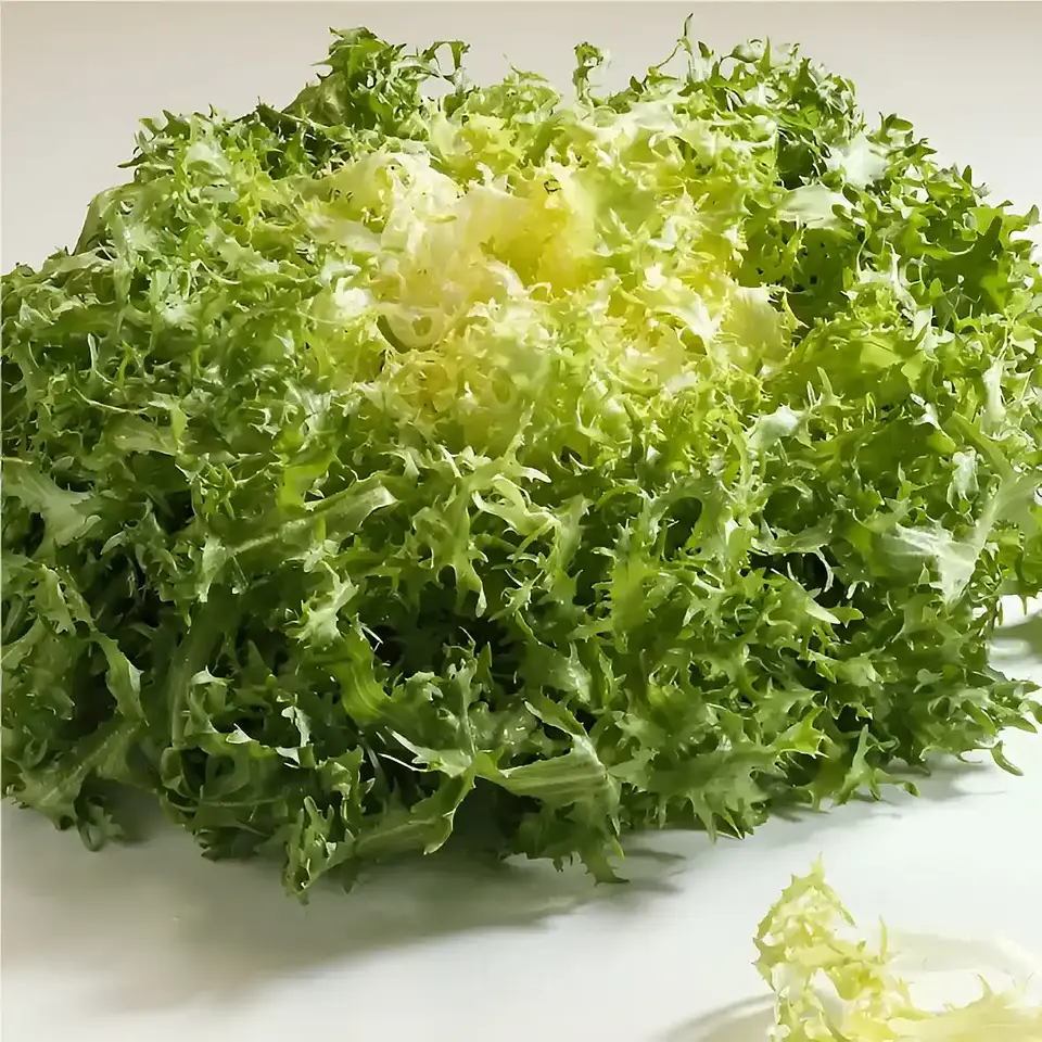 Semillas Hortalizas Y Aromáticas - Más de 80 Variedades  39