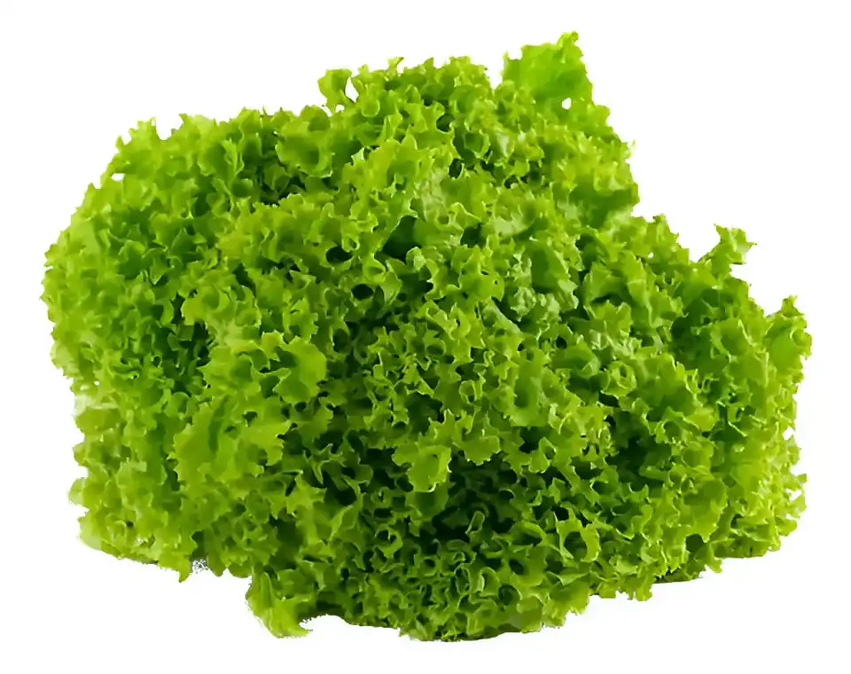 Semillas Hortalizas Y Aromáticas - Más de 80 Variedades  42