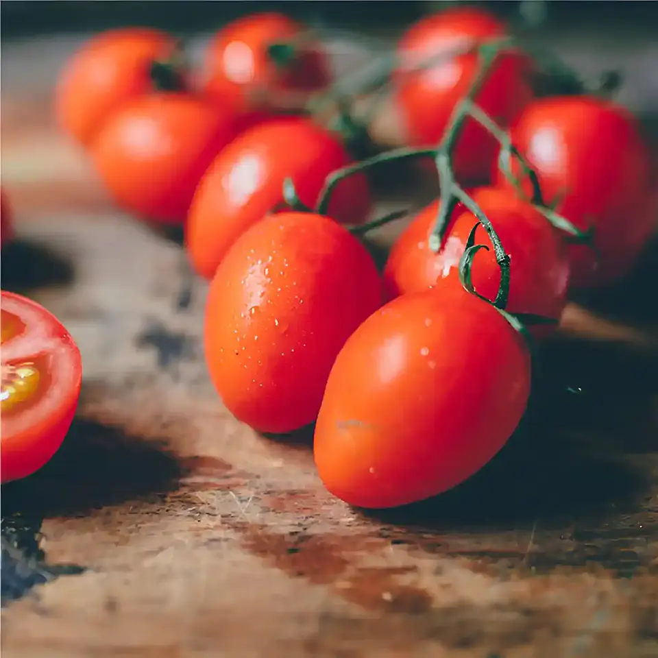Semillas Hortalizas y Aromáticas | Más de 70 Variedades 9