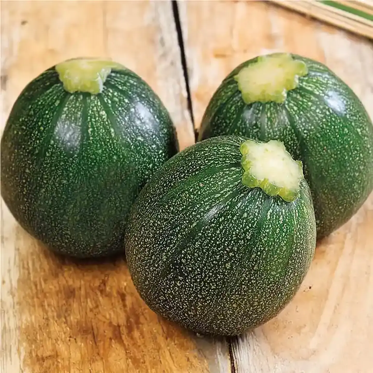 Semillas Hortalizas y Aromáticas | Más de 70 Variedades 16