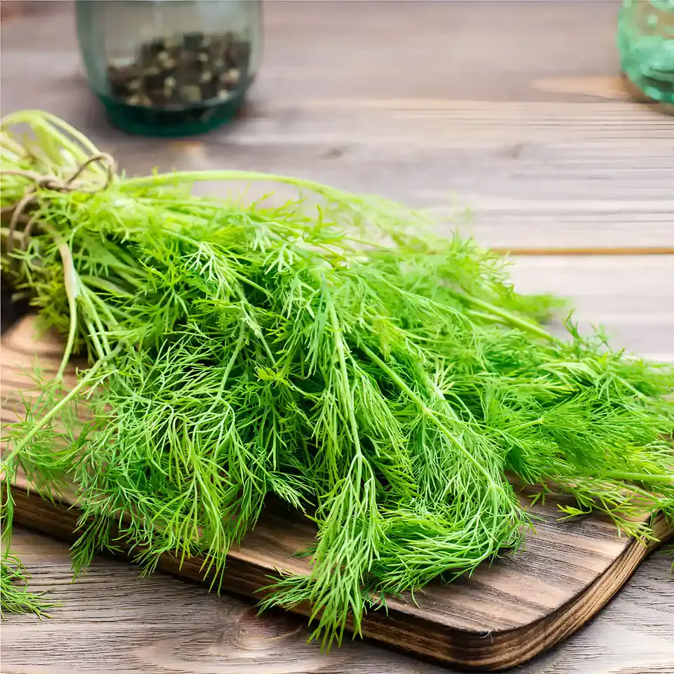 Semillas Hortalizas y Aromáticas | Más de 70 Variedades 17