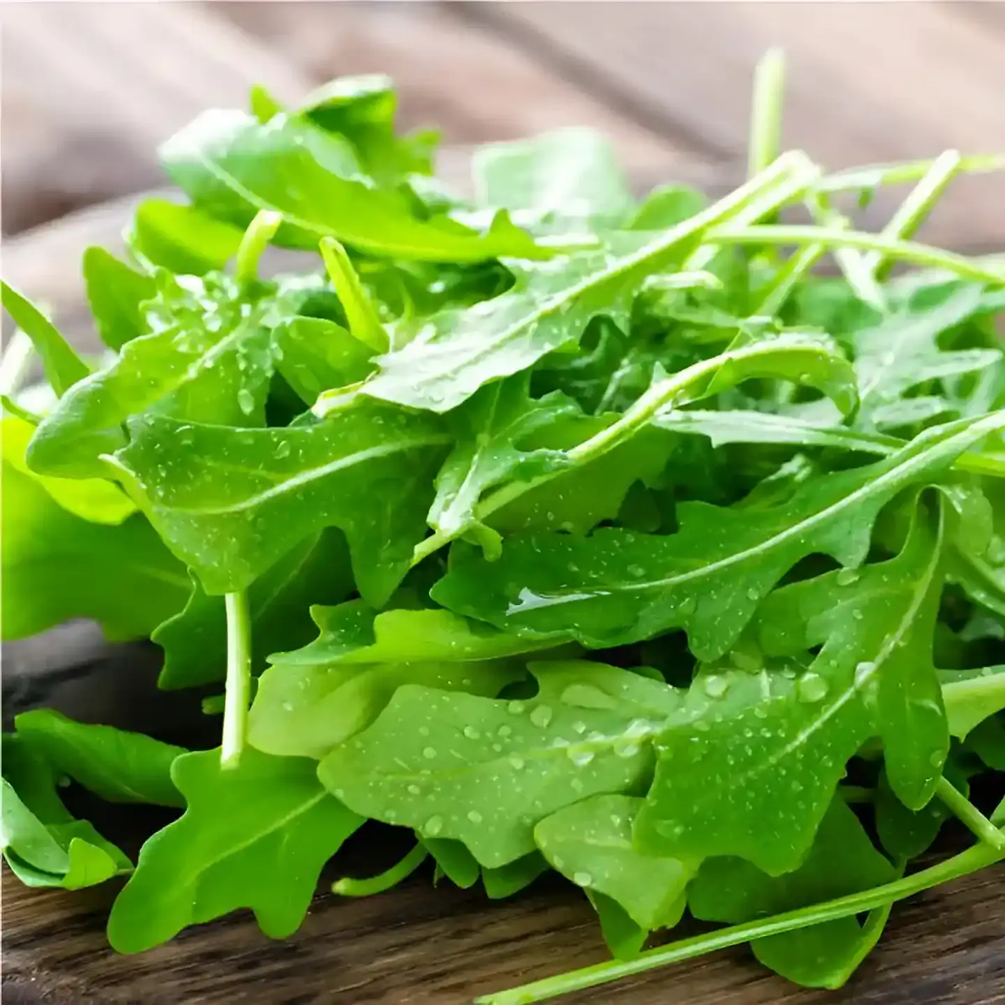 Semillas Hortalizas y Aromáticas | Más de 70 Variedades 25