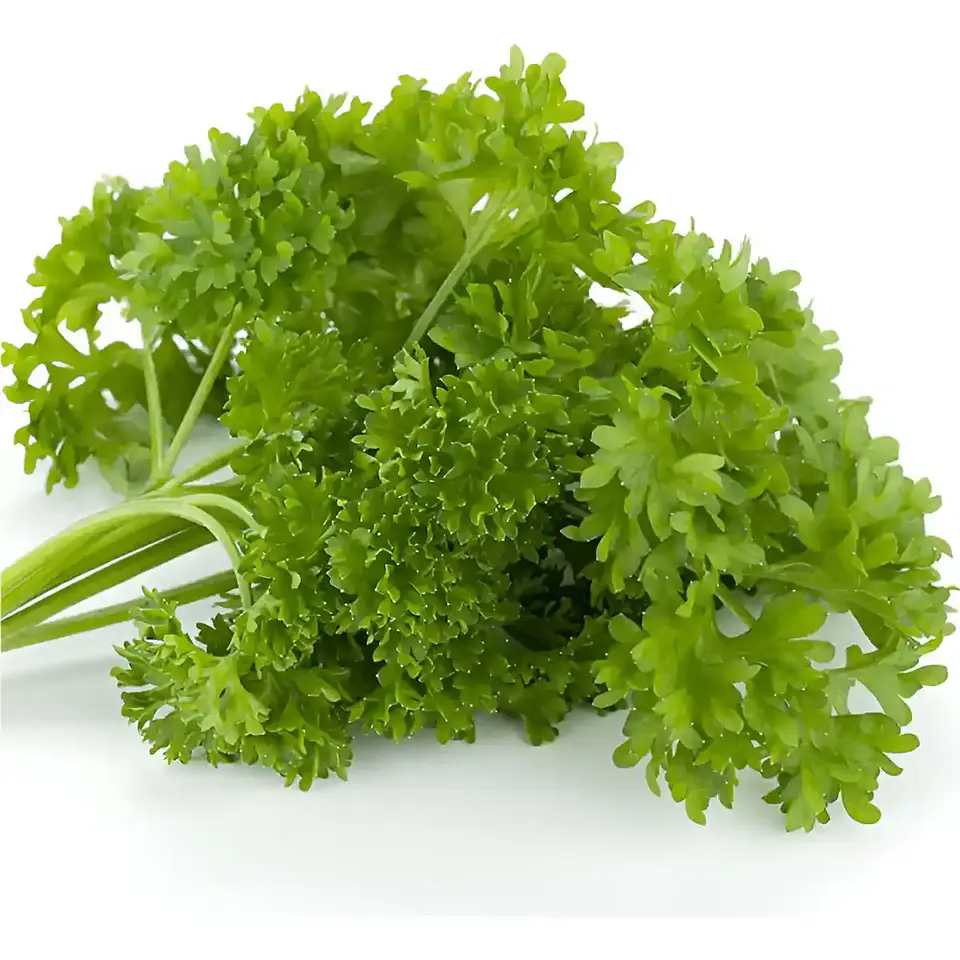Semillas Hortalizas y Aromáticas | Más de 70 Variedades 32