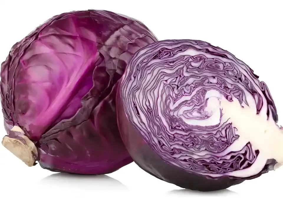Semillas Hortalizas y Aromáticas | Más de 70 Variedades 42