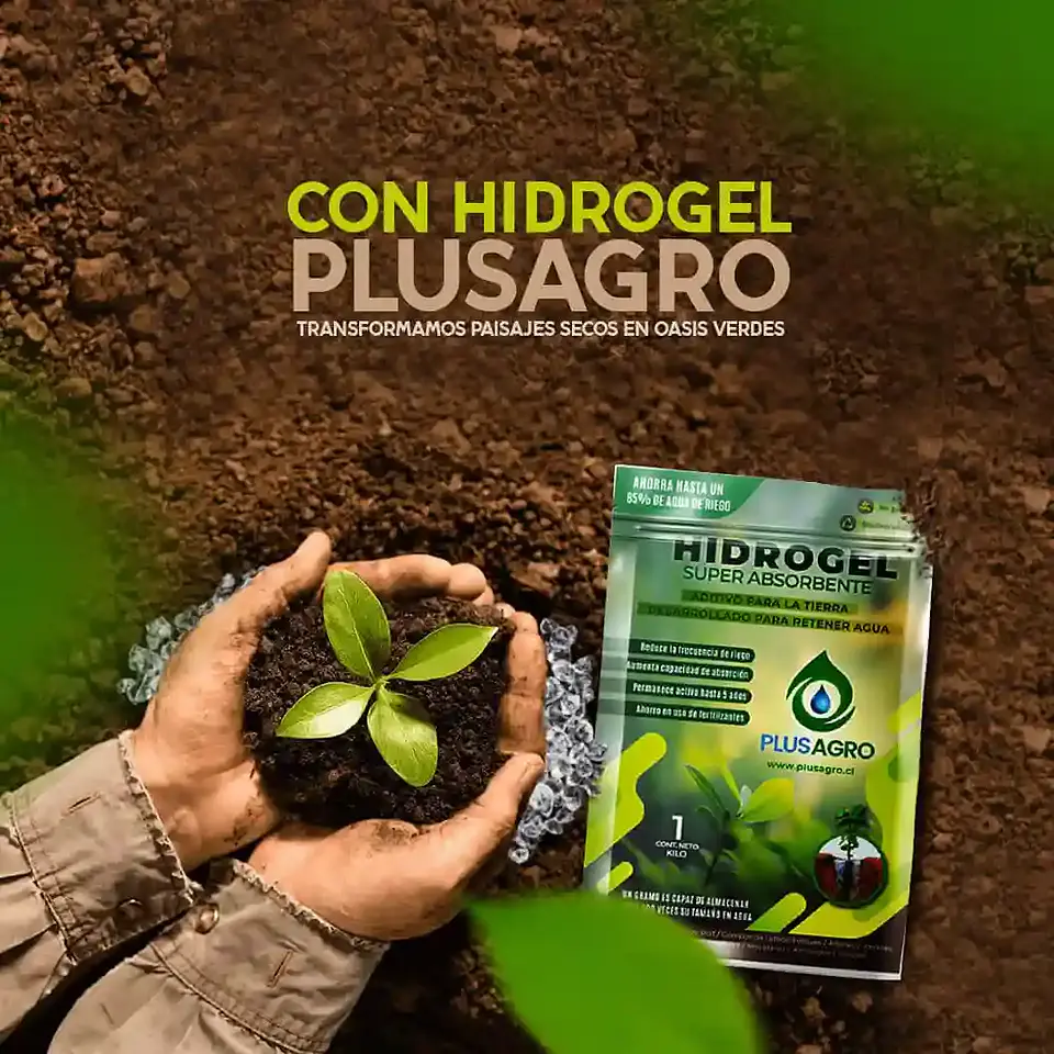 Hidrogel Plusagro 1 Kg | Ahorra Hasta 85% de Agua 10