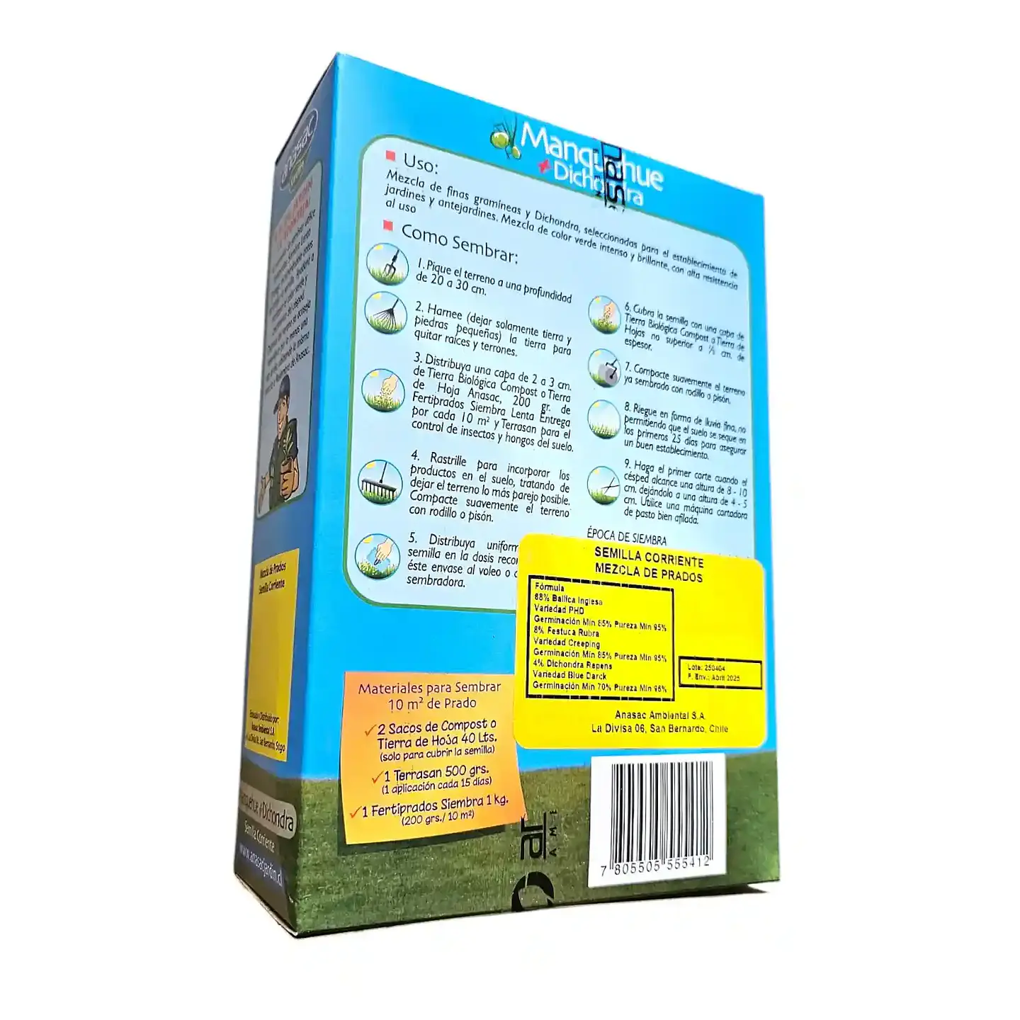 Semillas Anasac Césped Manquehue Dichondra 500g 4