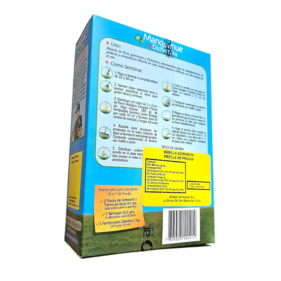 Semillas Anasac Césped Manquehue Dichondra 500g 4