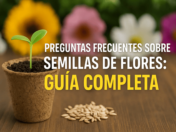 Preguntas frecuentes sobre semillas de flores: guía completa
