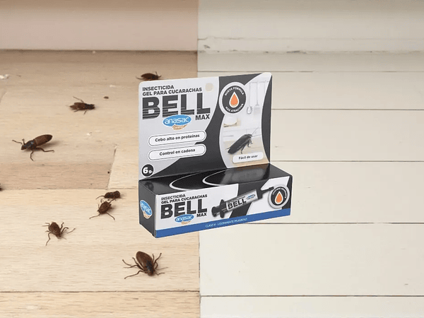 Guía práctica: cómo eliminar cucarachas y baratas en casa de forma definitiva