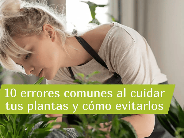 10 errores comunes al cuidar tus plantas y cómo evitarlos (guía 2025)