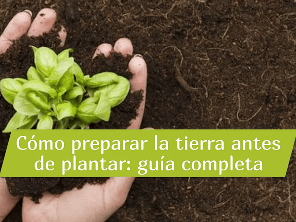 Cómo preparar la tierra antes de plantar: guía completa 2025