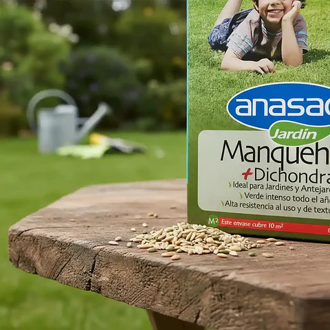 Semillas Anasac Césped Manquehue Dichondra 500g