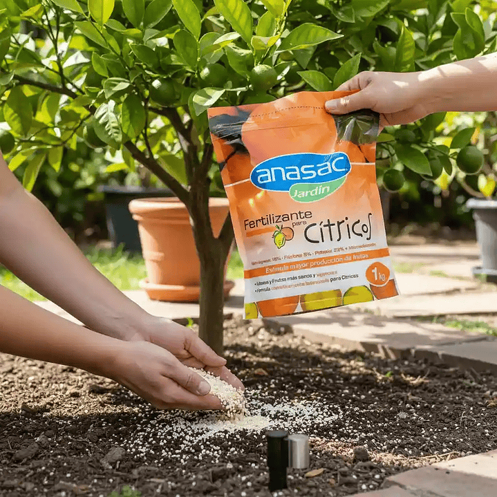 Fertilizante Cítricos 1 Kg | Nutrición para árboles frutales 2