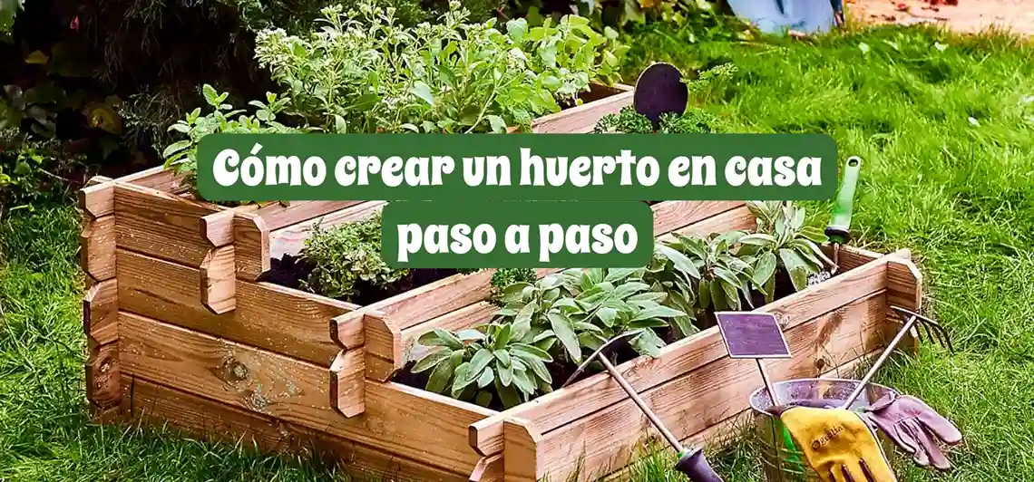 Cómo crear un huerto en casa paso a paso | Guía para principiantes 2025
