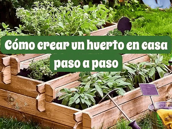 Cómo crear un huerto en casa paso a paso | Guía para principiantes 2025