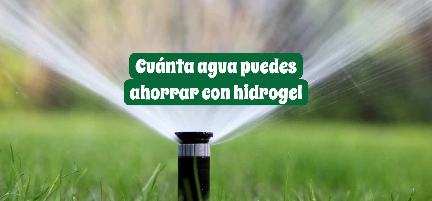 Cuánta agua puedes ahorrar con hidrogel en macetas, jardineras y pasto