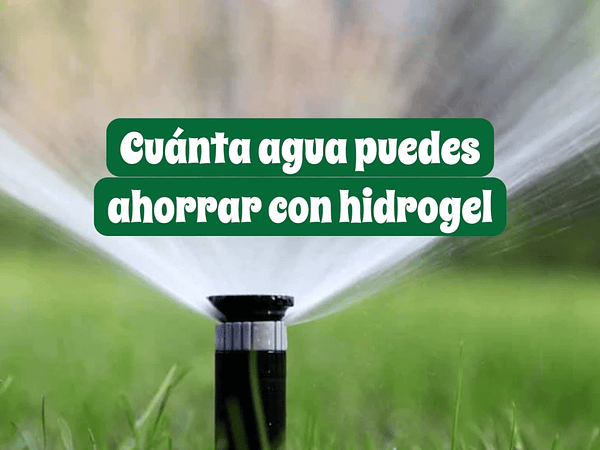 Cuánta agua puedes ahorrar con hidrogel en macetas, jardineras y pasto