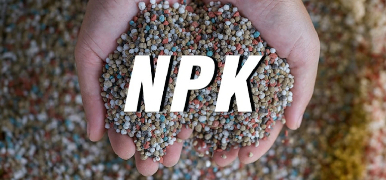 Qué fertilizante usar según el problema de tu planta (NPK fácil)