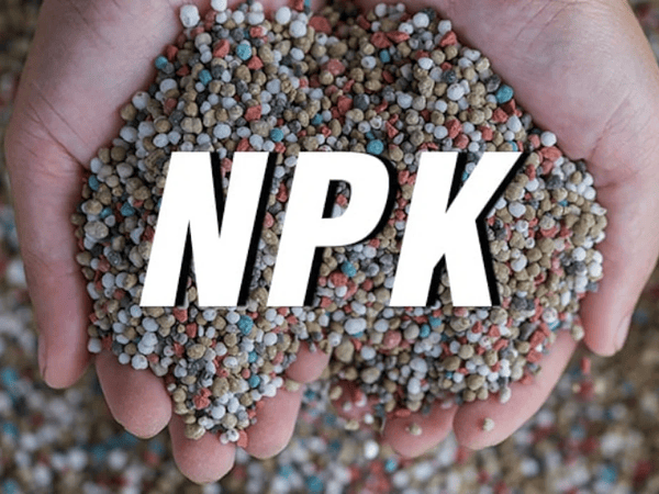 Qué fertilizante usar según el problema de tu planta (NPK fácil)