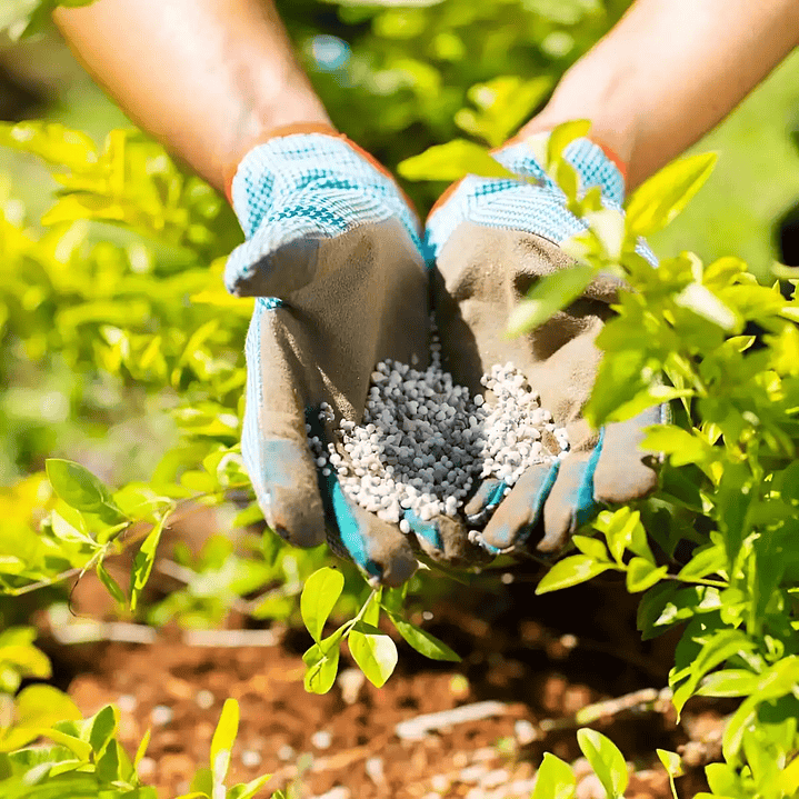 Super Urea 1 Kg Fertilizante Granulado  4