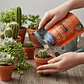 Fertilizante Cactus y Suculentas 200 G - Miniatura 6