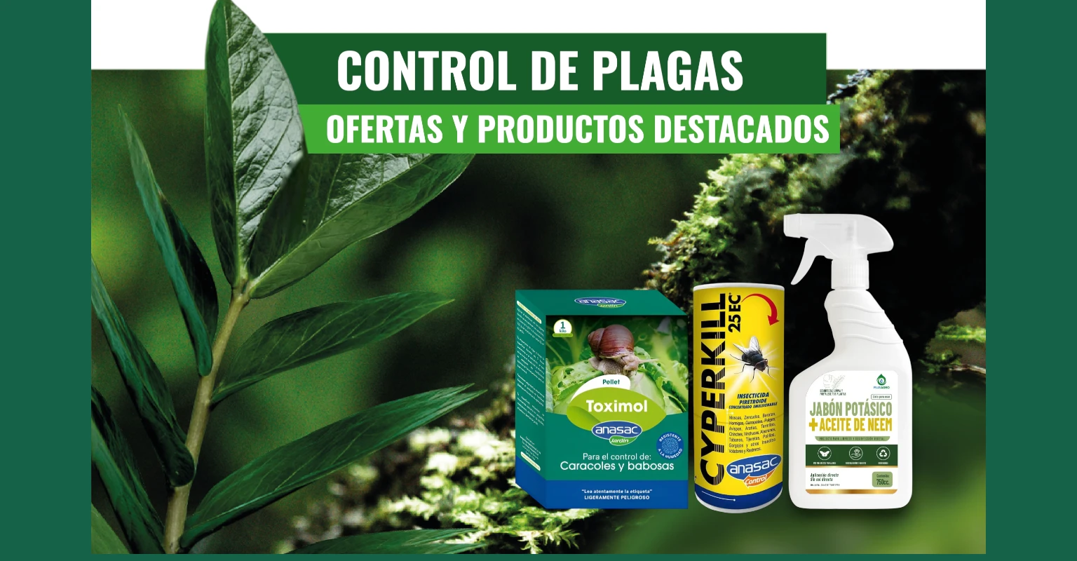 Control de Plagas en Casa y Jardín | Guía Completa de Soluciones