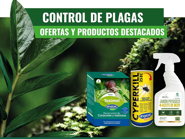 Control de Plagas en Casa y Jardín | Guía Completa de Soluciones