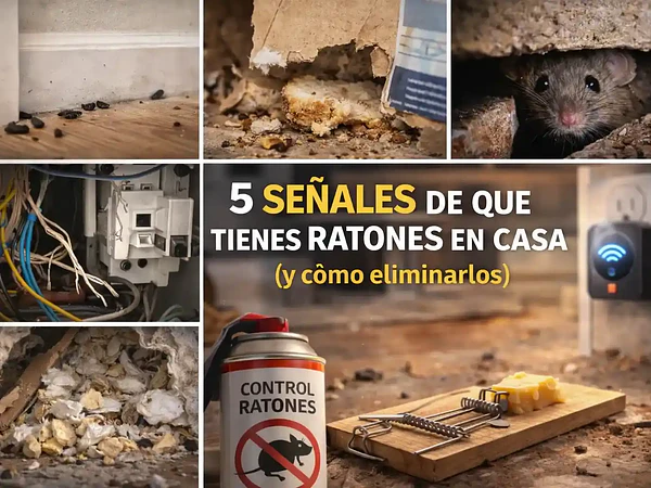5 señales de que tienes ratones en casa (y cómo eliminarlos)