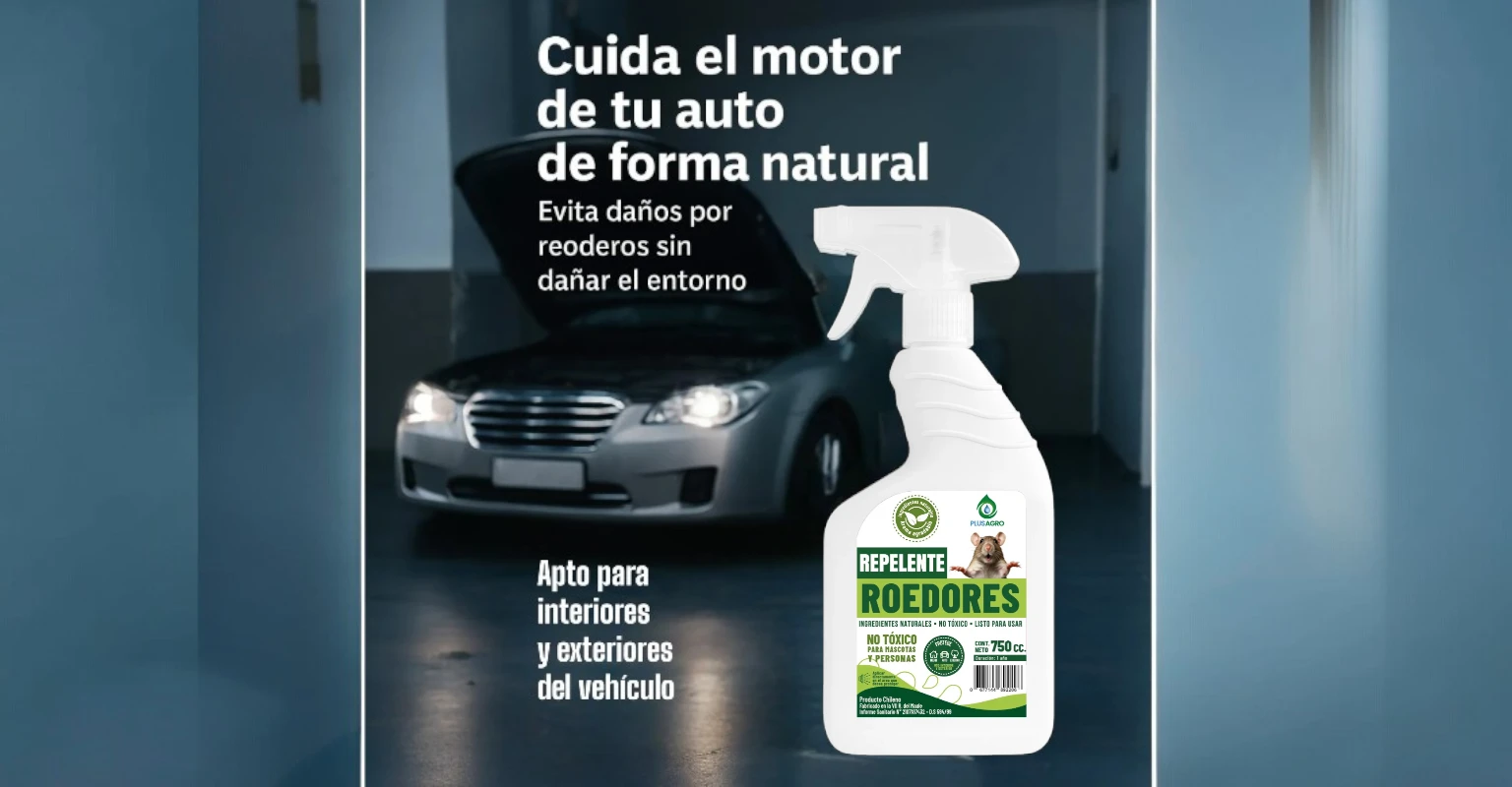 Cuál es el mejor repelente para ratones (y cómo usarlo correctamente)