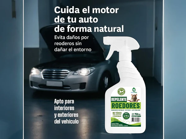 Cuál es el mejor repelente para ratones (y cómo usarlo correctamente)