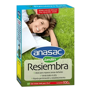 Semilla Pasto Resiembra 500 g Anasac | Reparación de Césped