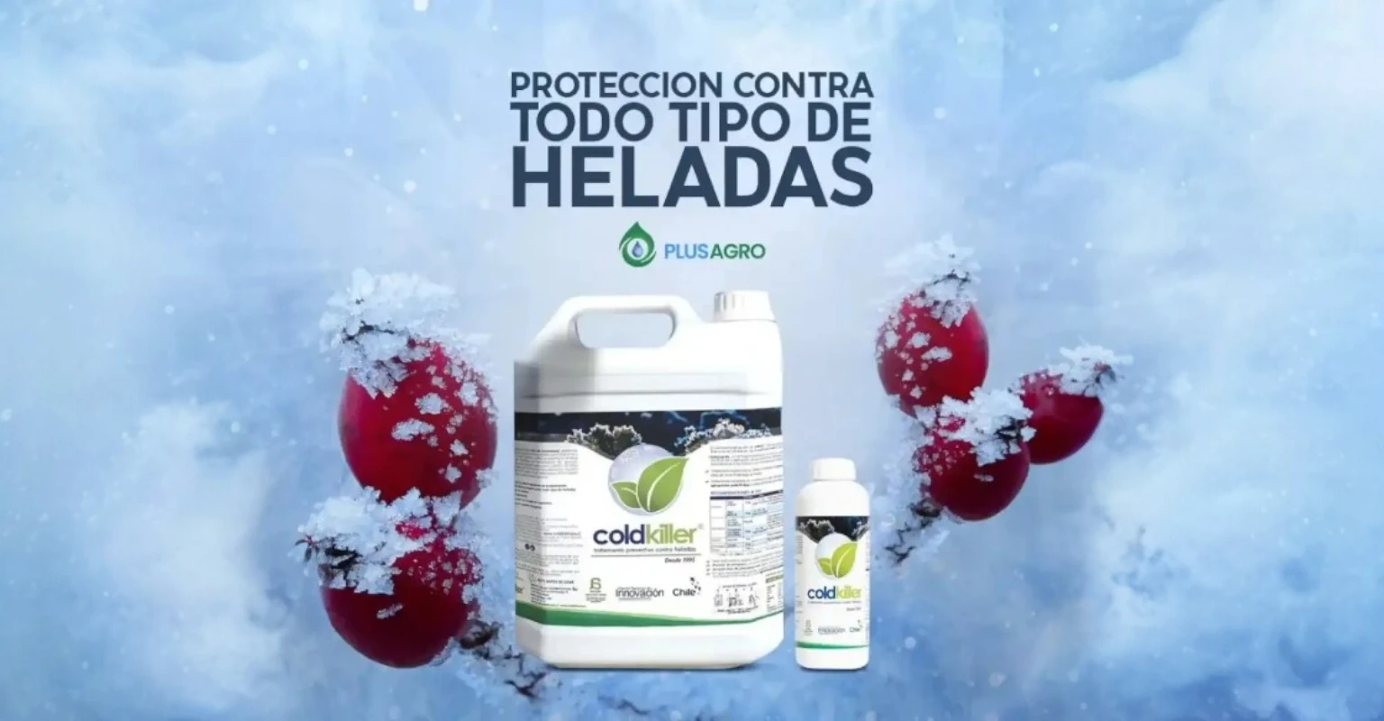 Cómo proteger plantas de las heladas (antes que sea tarde)