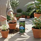 Enraizante Anasac 800 G - Miniatura 2