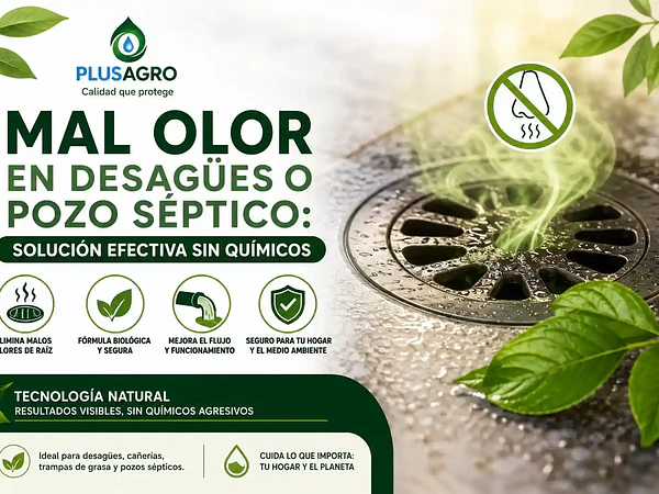 Mal olor en desagües o pozo séptico: solución efectiva sin químicos
